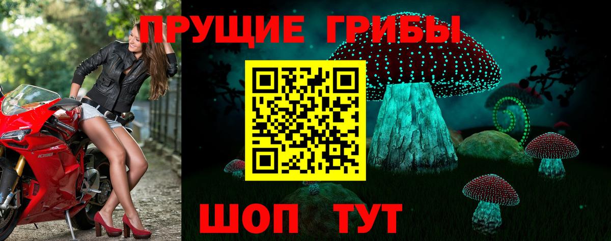 как найти закладки  Вход с VPN  Биробиджан  Псилоцибиновые грибы Psilocybe 
