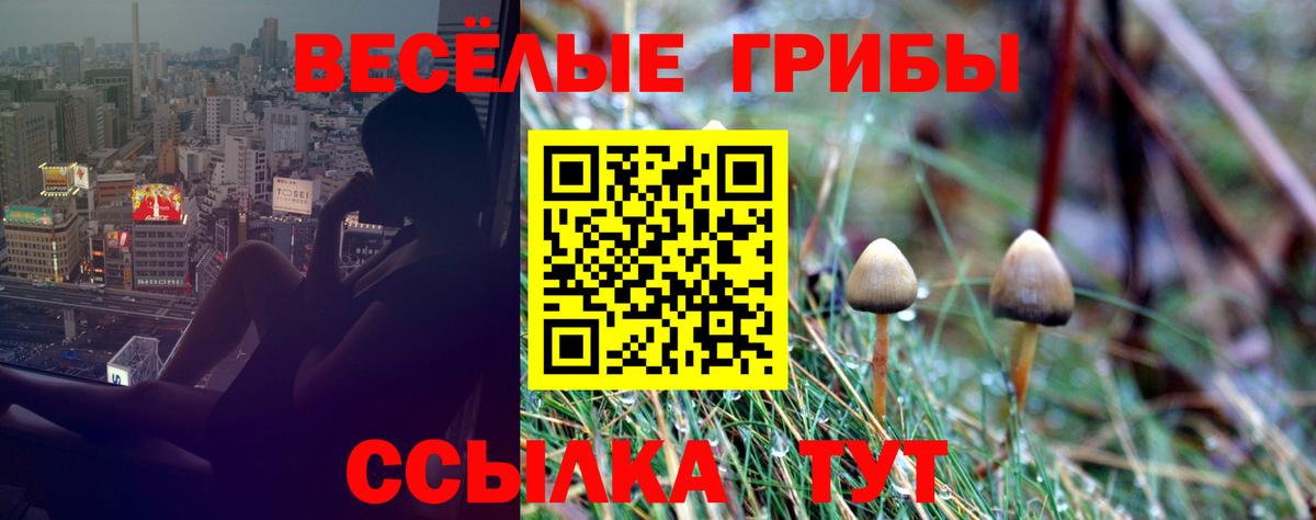 Псилоцибиновые грибы GOLDEN TEACHER Биробиджан
